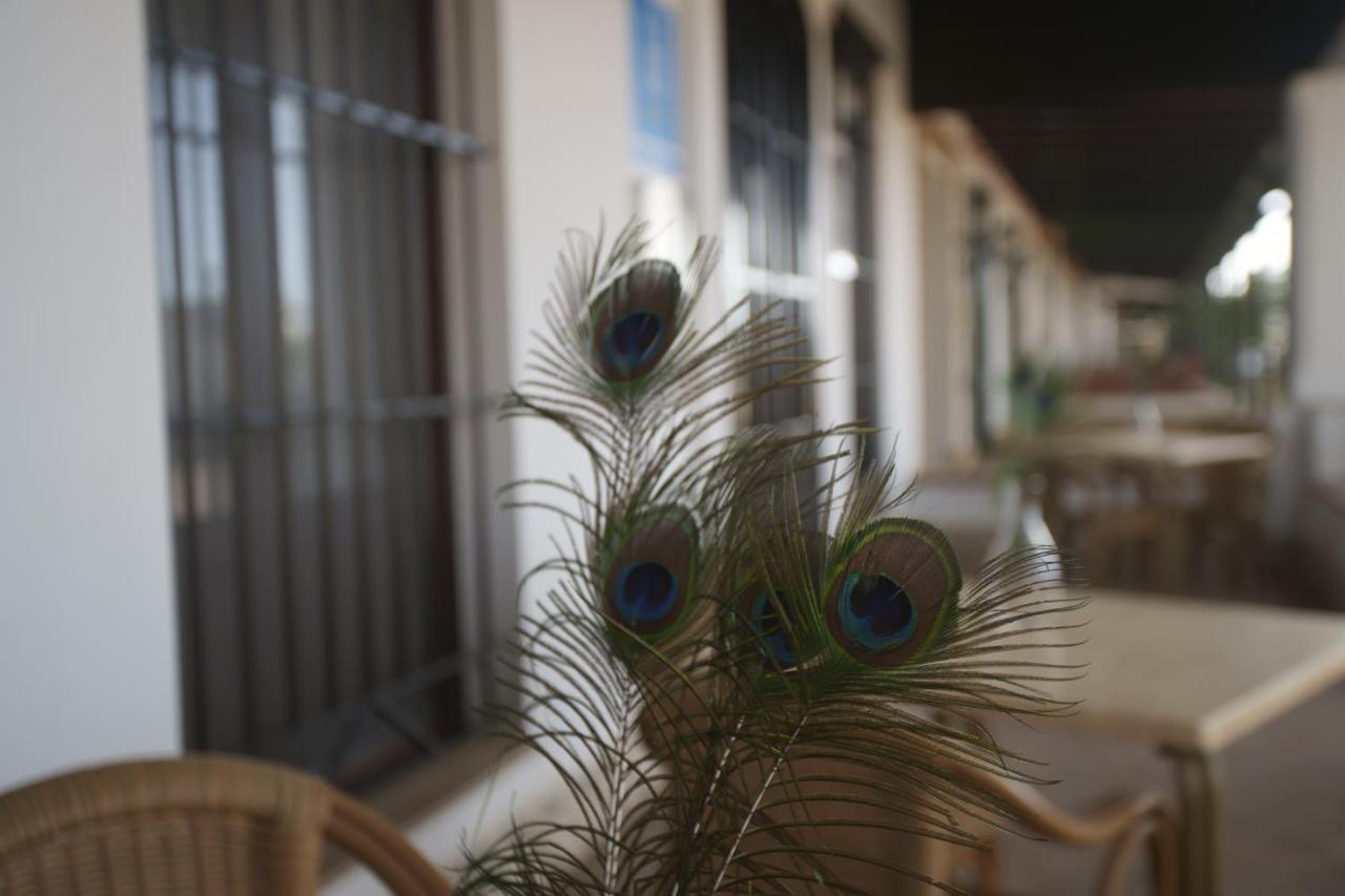 Hostal Rural Santa Habitaciones Aldea DEl Rocío Dış mekan fotoğraf
